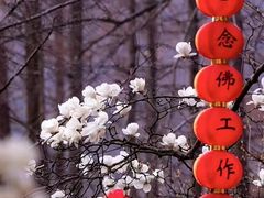-杭州上天竺法喜讲寺