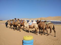 -鄂托克前旗兴宇唐苏格沙漠温泉酒店