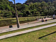 -神光山国家森林公园