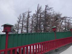 -富士山吉田線五合目