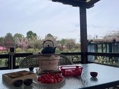 -洪湖家庭农场·团建·露营·会议
