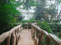 -南山植物园