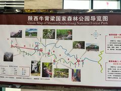 -牛背梁国家森林公园