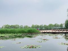 -绿堤公园
