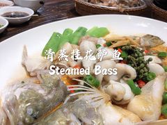 -猪肉婆私房菜(容桂总店)