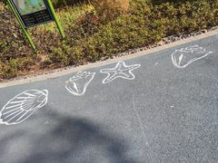 -宁波儿童公园(鄞州区)