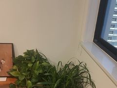 -剧狐剧本杀(徐汇1号店)