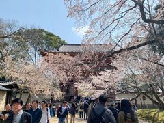 -醍醐寺