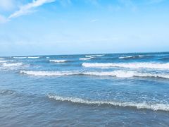 -日照海滨国家森林公园