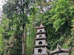 -都江堰普照寺