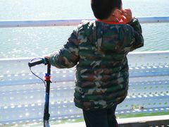 -大兴滨河森林公园