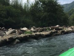 -雅鲁激流探险漂流