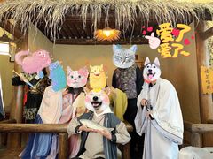 -福尔喵斯探案馆实景搜证·沉浸式剧本杀