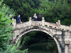 -上海醉白池公园