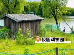-华东政法大学(松江校区)