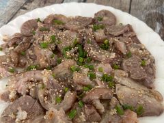 -东鸽皇(奥园·中环广场店)