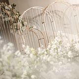 优雅✨韩风 || 定制婚礼