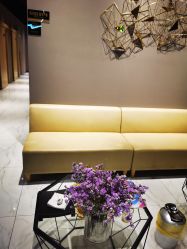 -三只熊皮肤管理中心