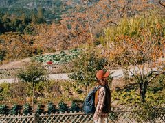 -楠溪江风景名胜区