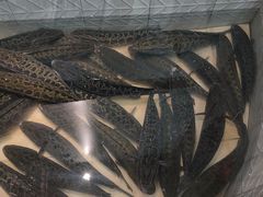 -风情丽江斑鱼火锅(孙家沟西南路80号店)