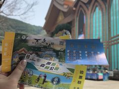 -西双版纳原始森林公园