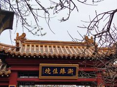 -桃花堤公园