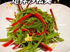 炝拌沙松尖-滇野云南野生菌餐厅(陕西南路店)