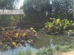 -竹泉村旅游度假区