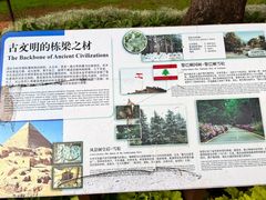 -昆明植物园