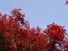 -幕燕滨江·燕子矶公园