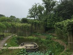 -天花井景区