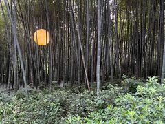 -杭州黄龙洞