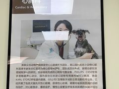 -美联众合动物医院·24h转诊中心