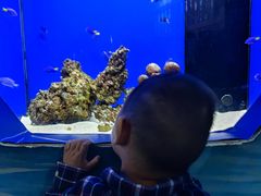-沙沙哗啦海洋馆(华宇百花谷店)