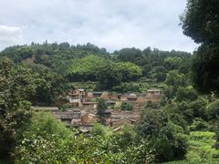 -杨家堂村