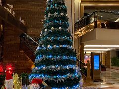 -赛瑞喜来登大酒店-盛宴自助餐厅