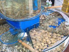 -张树军海鲜(王府壹号店)