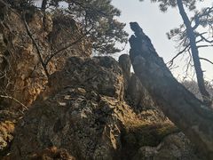 -大连天门山国家森林公园