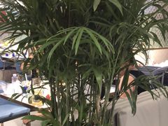 -三江源活鱼现烤(维多利摩尔城店)