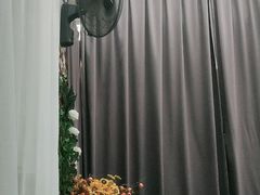-星多哈·狗咖·拼豆·咖啡