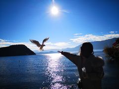 -泸沽湖里格半岛