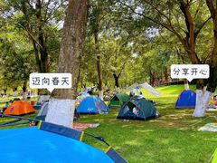 -秀丽东方