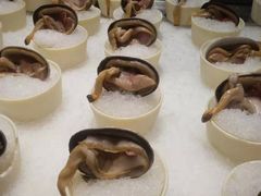-雍和会海鲜姿造自助(湖东路店)