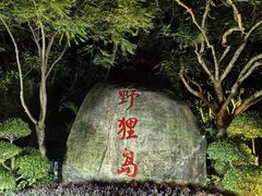 -野狸岛