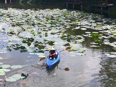 -老木棉·匠园