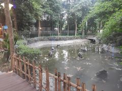 -二荆条·蜀鲜汇城市森林火锅