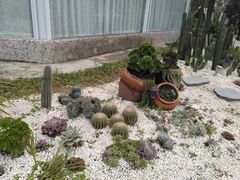 -三圣花乡旅游区