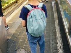 -国文影城(上海闸北店)