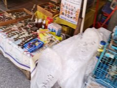 -清平路水族市场