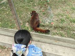 -苏州太湖西山岛开心农场